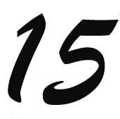 15年网站优化经验